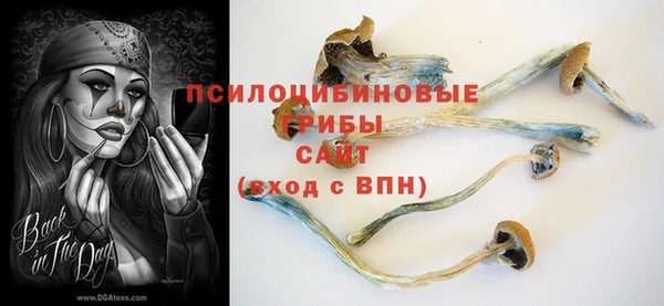 PSILOCYBIN Алексеевка