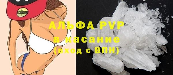 прущие грибы Алексин