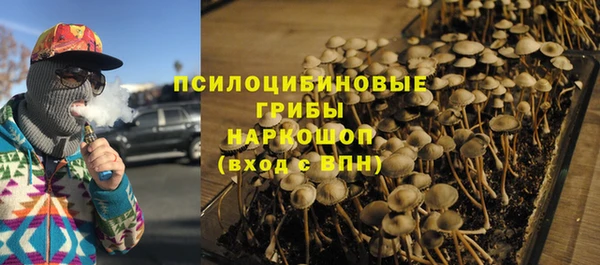 прущие грибы Алексин