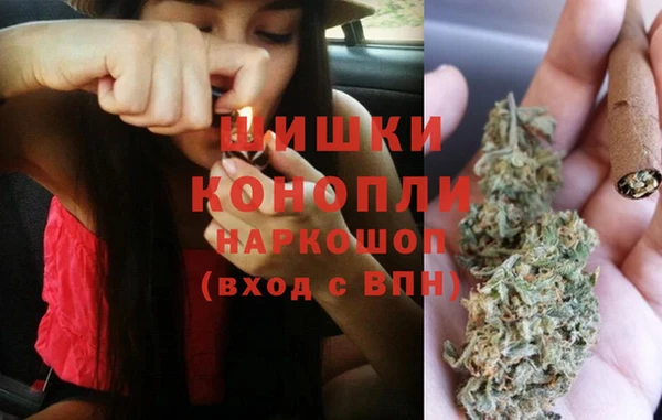 PSILOCYBIN Алексеевка