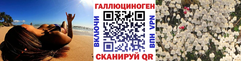 Галлюциногенные грибы Psilocybine cubensis  купить  цена  hydra маркетплейс  Алейск 
